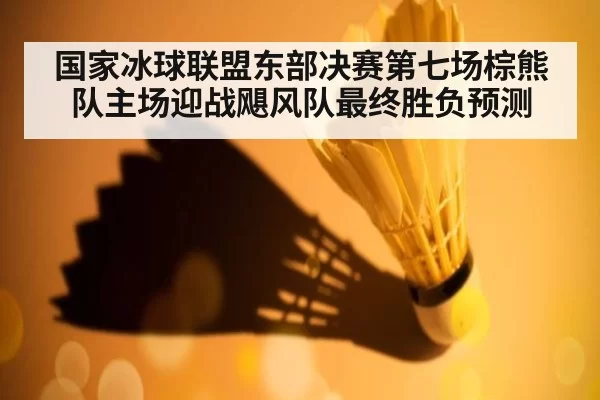 国家冰球联盟东部决赛第七场棕熊队主场迎战飓风队最终胜负预测