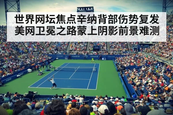 世界网坛焦点辛纳背部伤势复发美网卫冕之路蒙上阴影前景难测